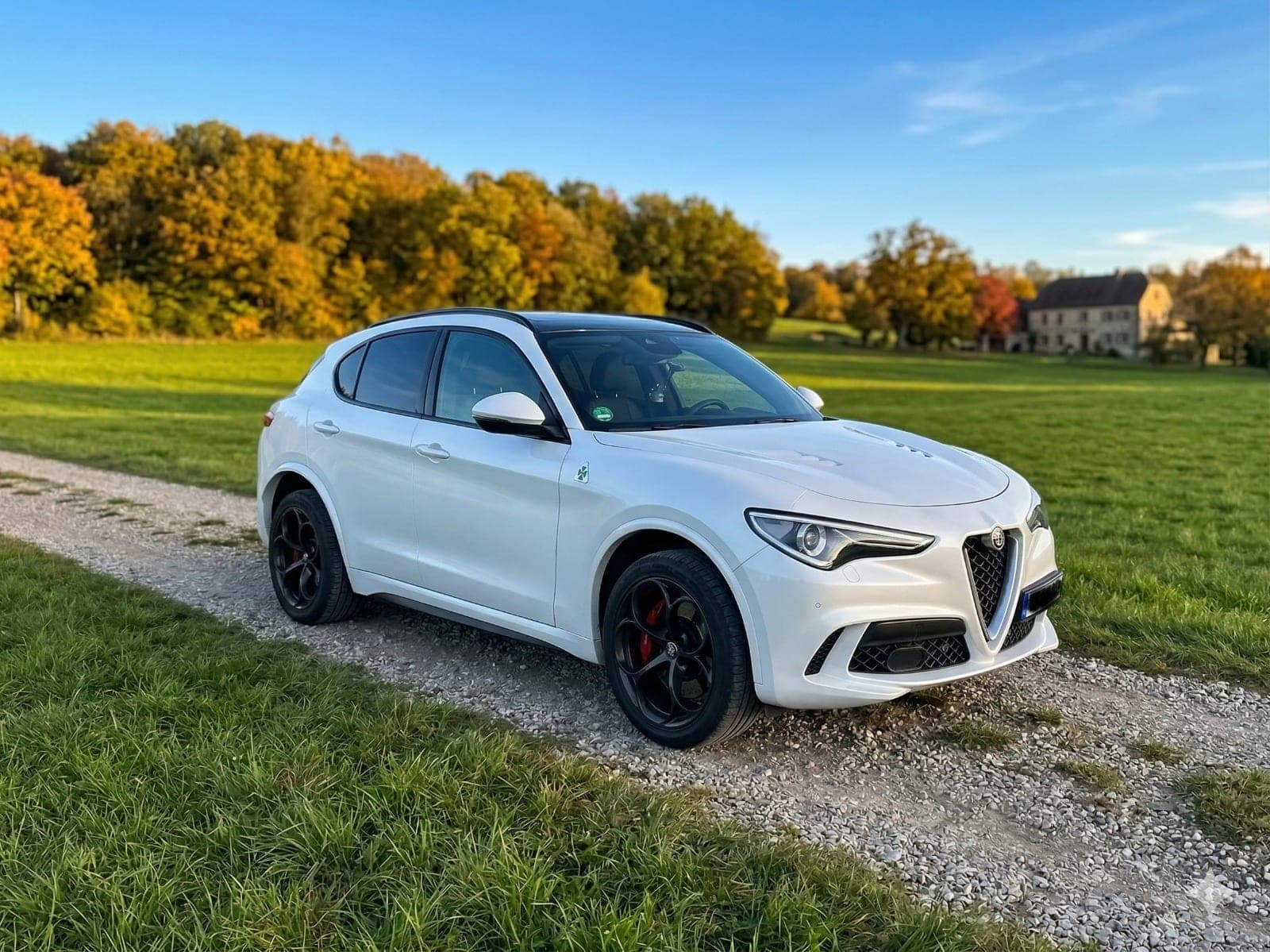 Alfa Romeo Stelvio 2.9 V6 Bi-Turbo Q4 Quadrifoglio – Hauptansicht